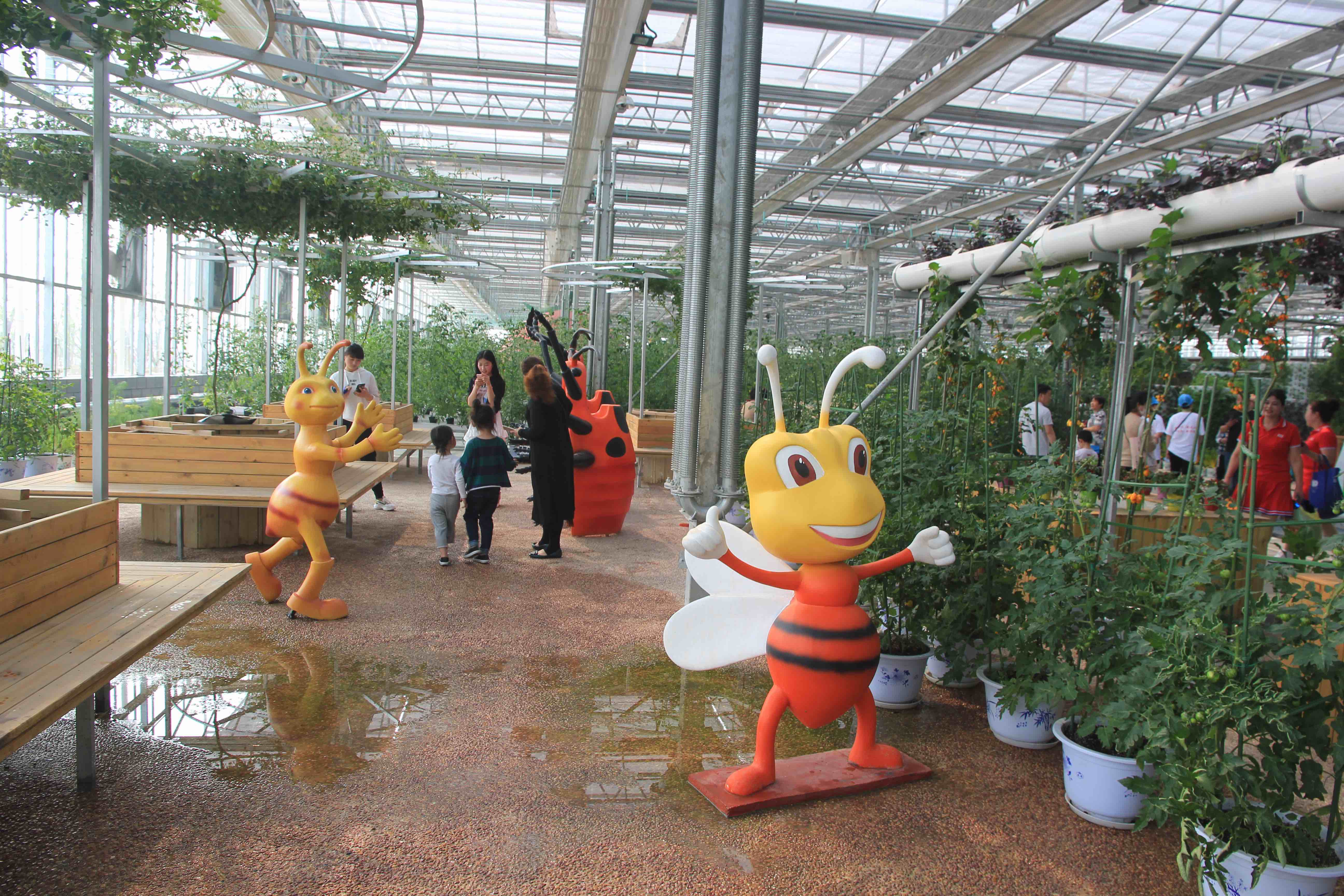 ����䓵���С֪�R(sh��)